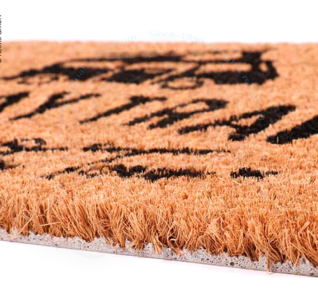 Paillasson 50x25 cm fibre de coco Holiday Travel